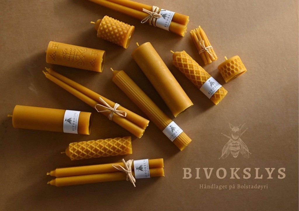 Bivokslys