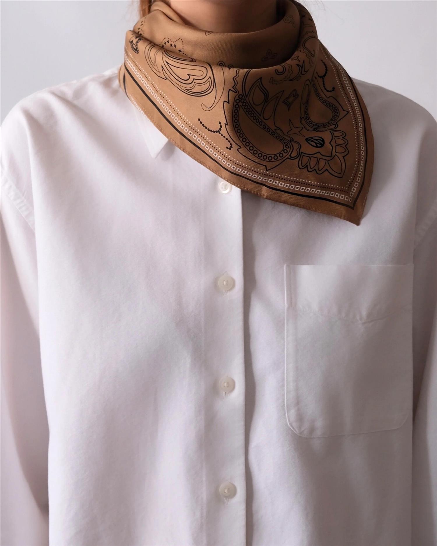 Paisley Scarf