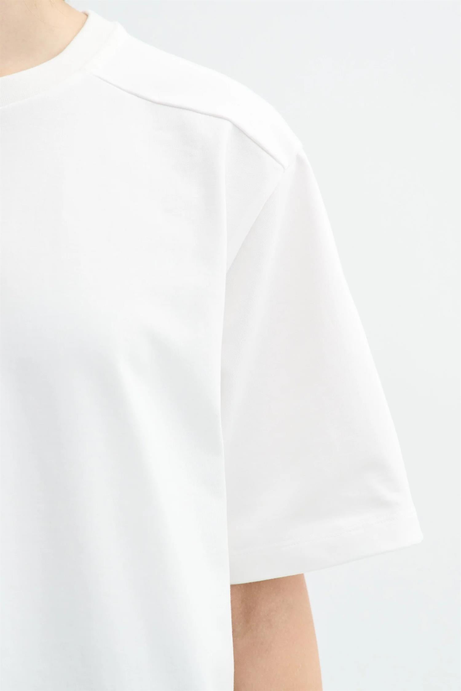 Leo Heavy Jersey Cotton