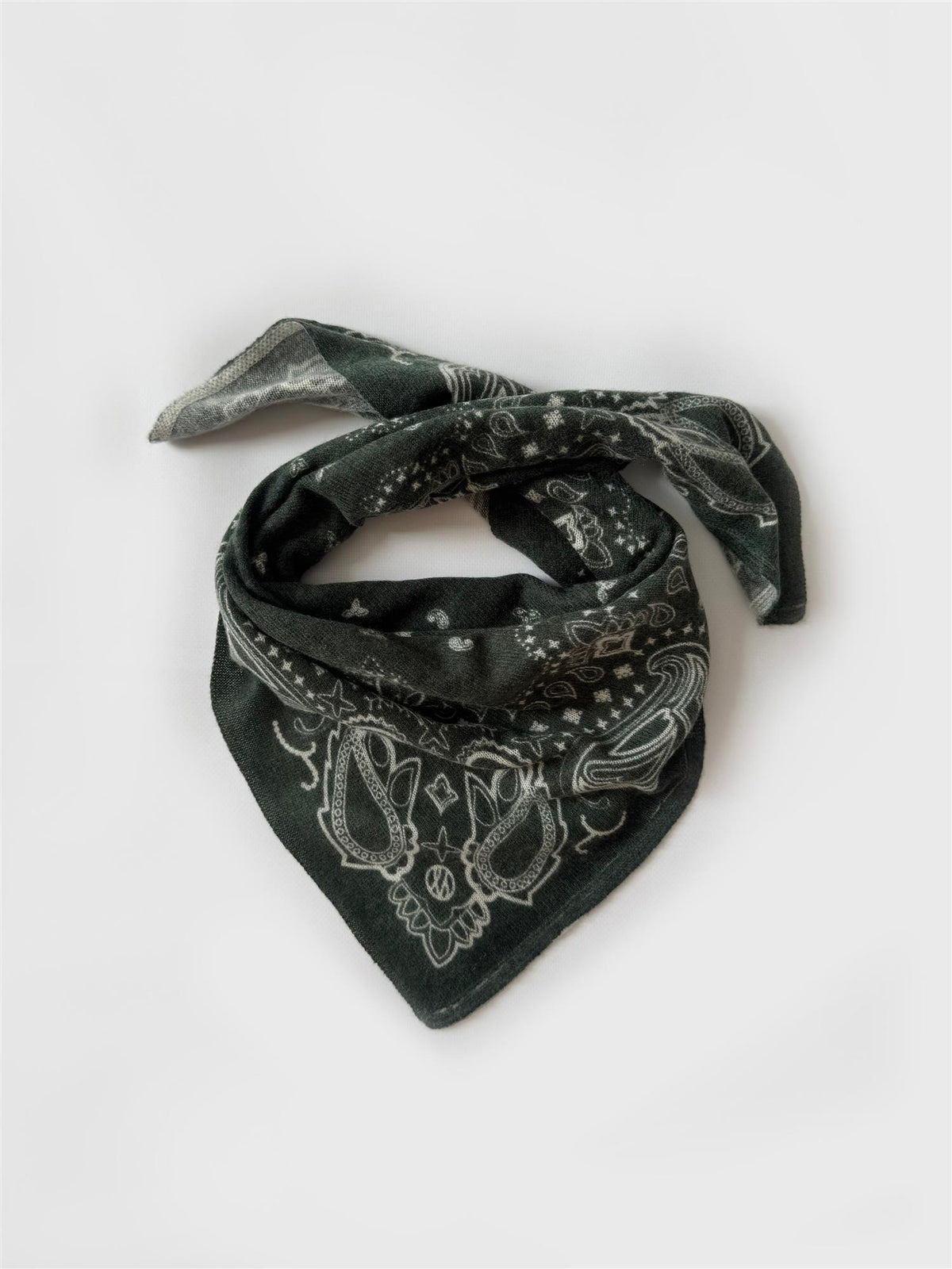 Cashmere Paisley Scarf
