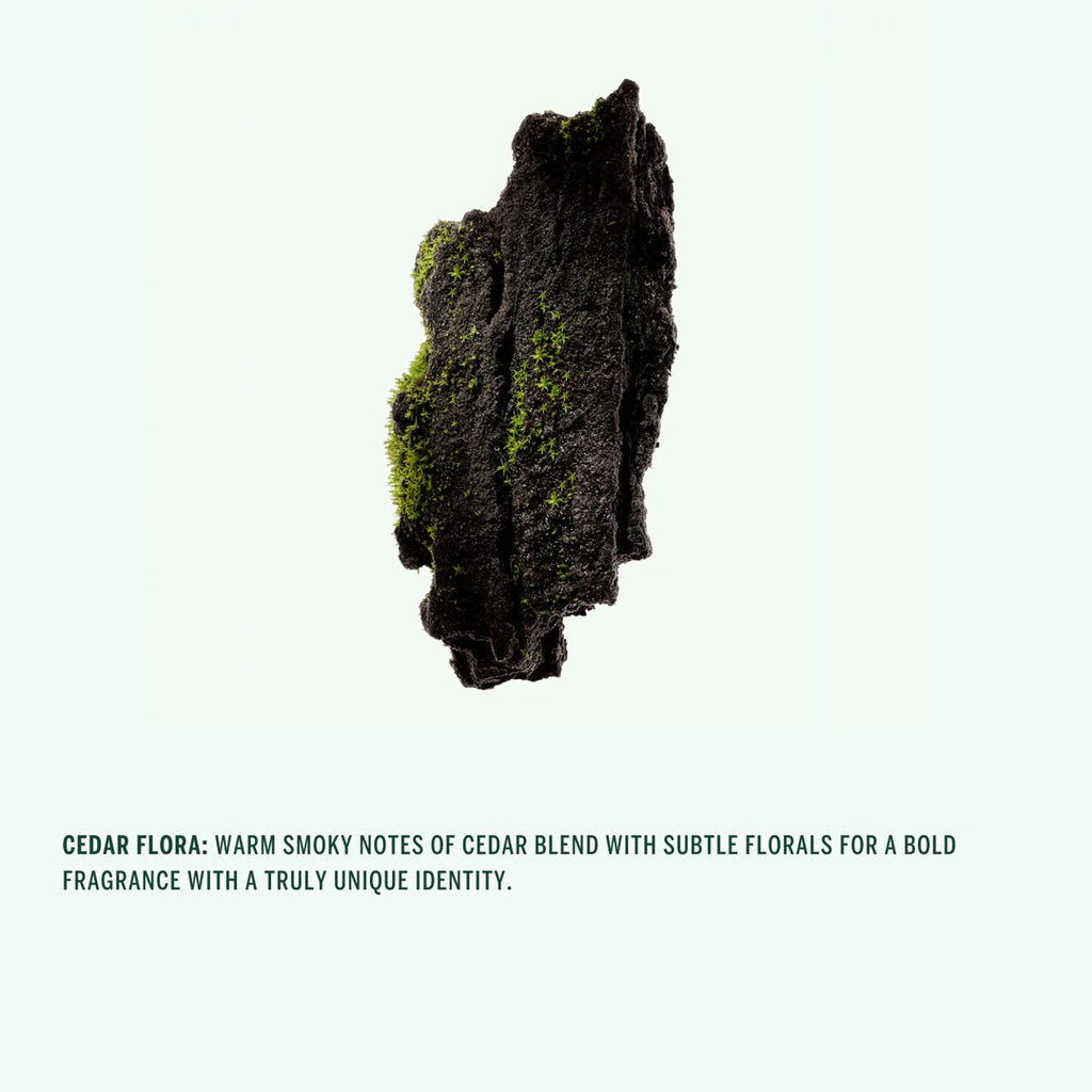Corpus Cedar Flora Deodorant Stick