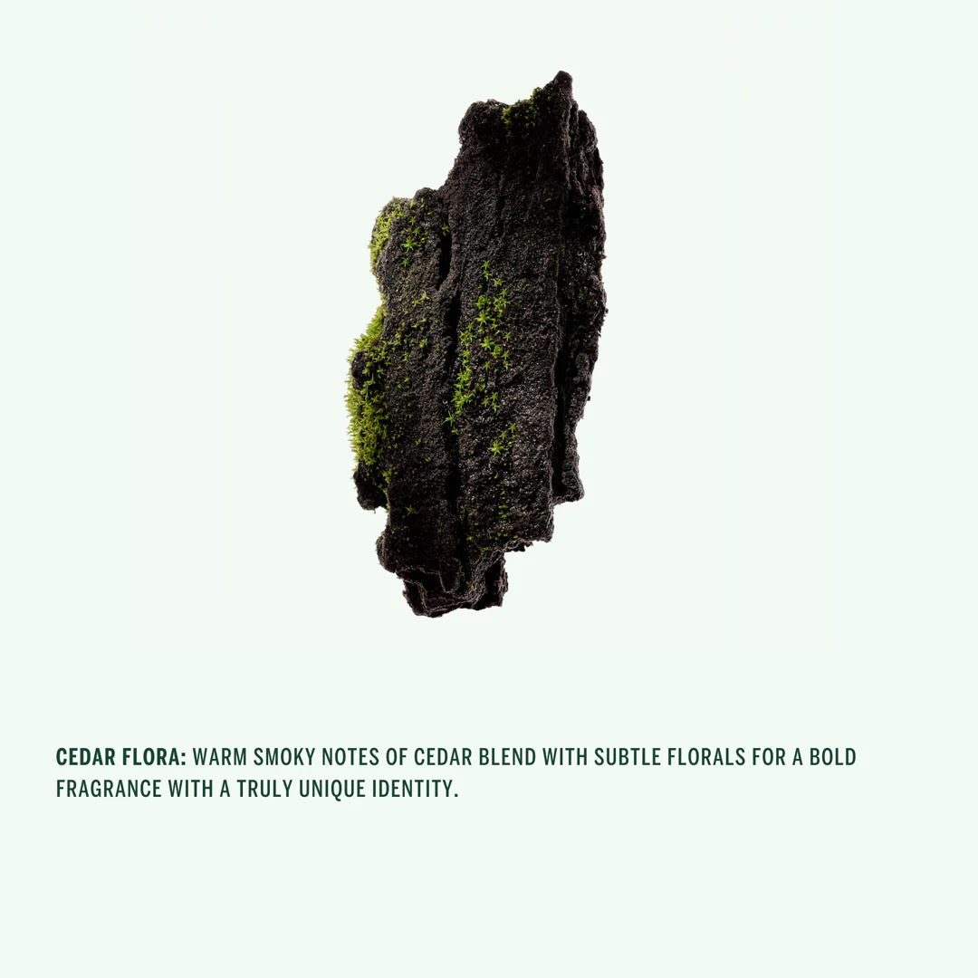 Corpus Cedar Flora Deodorant Stick