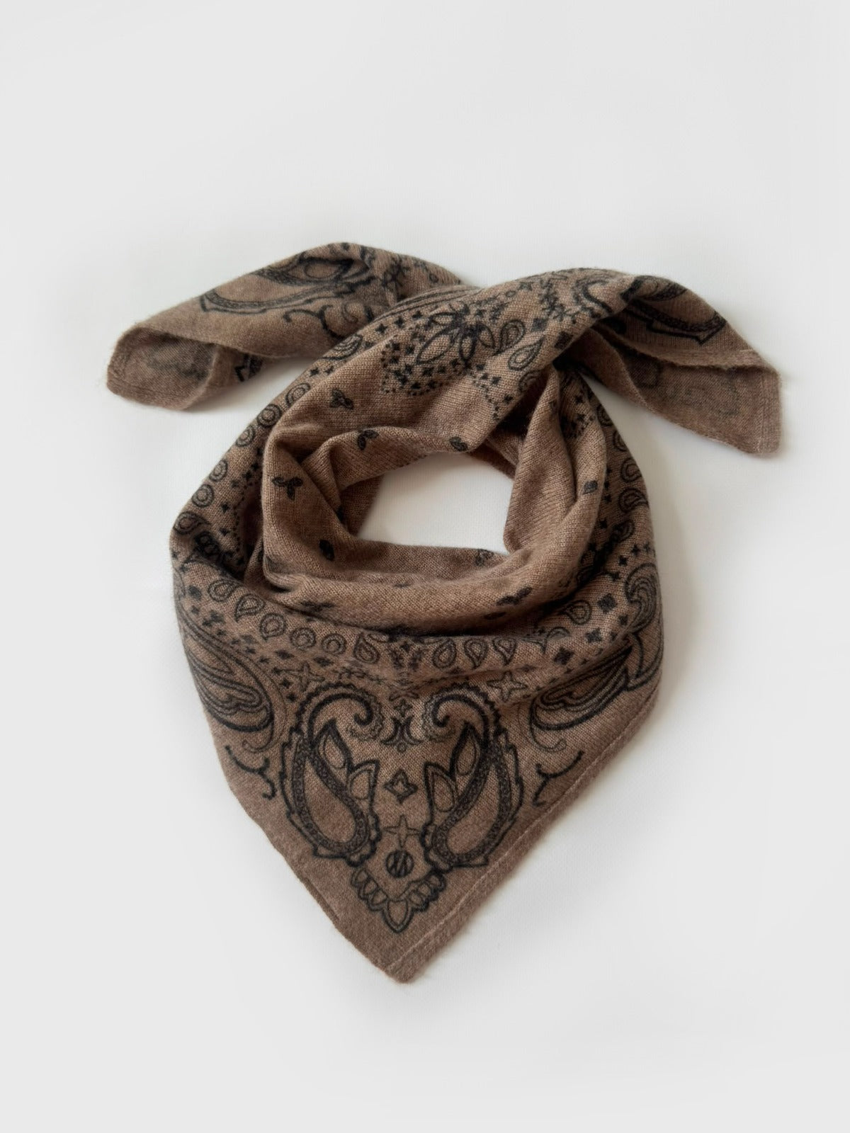 Cashmere Paisley Scarf