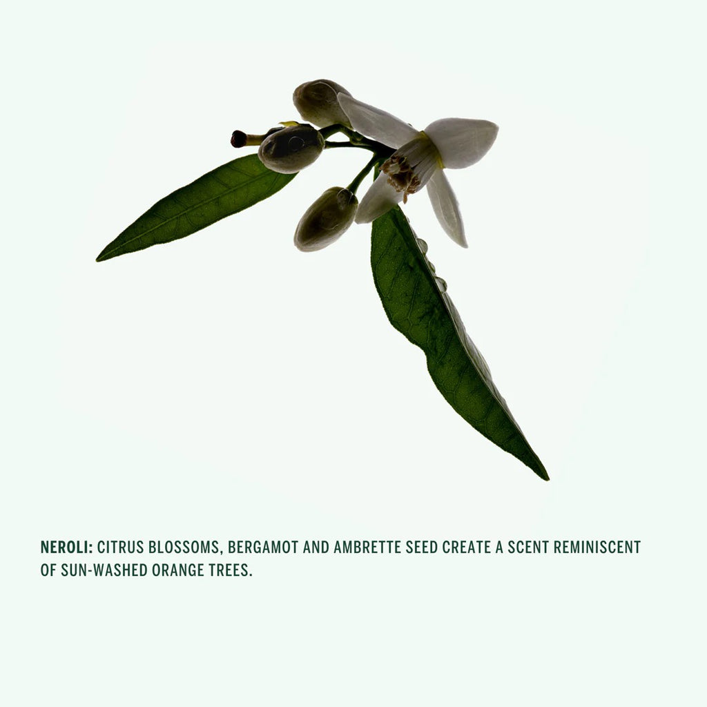 Neroli Deodorant