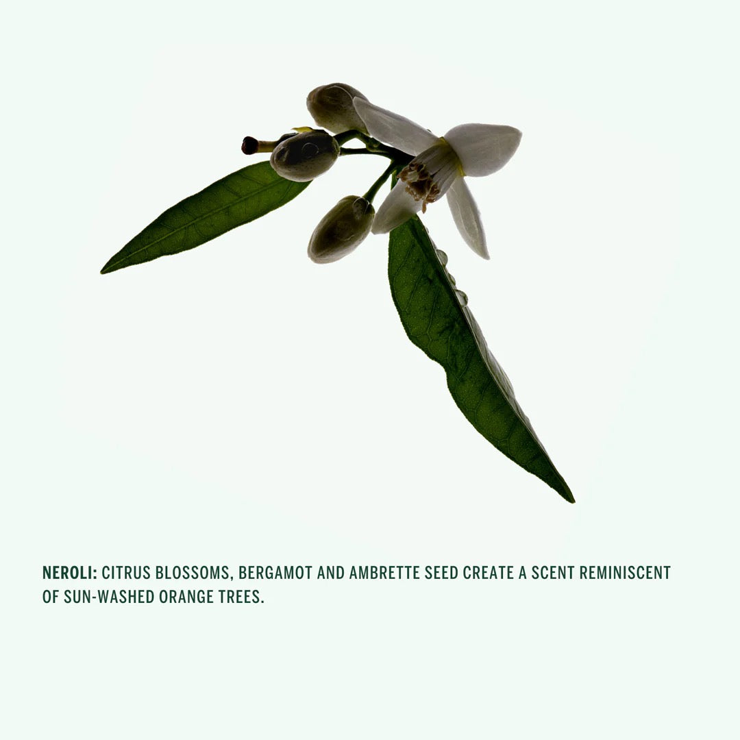 Neroli Deodorant